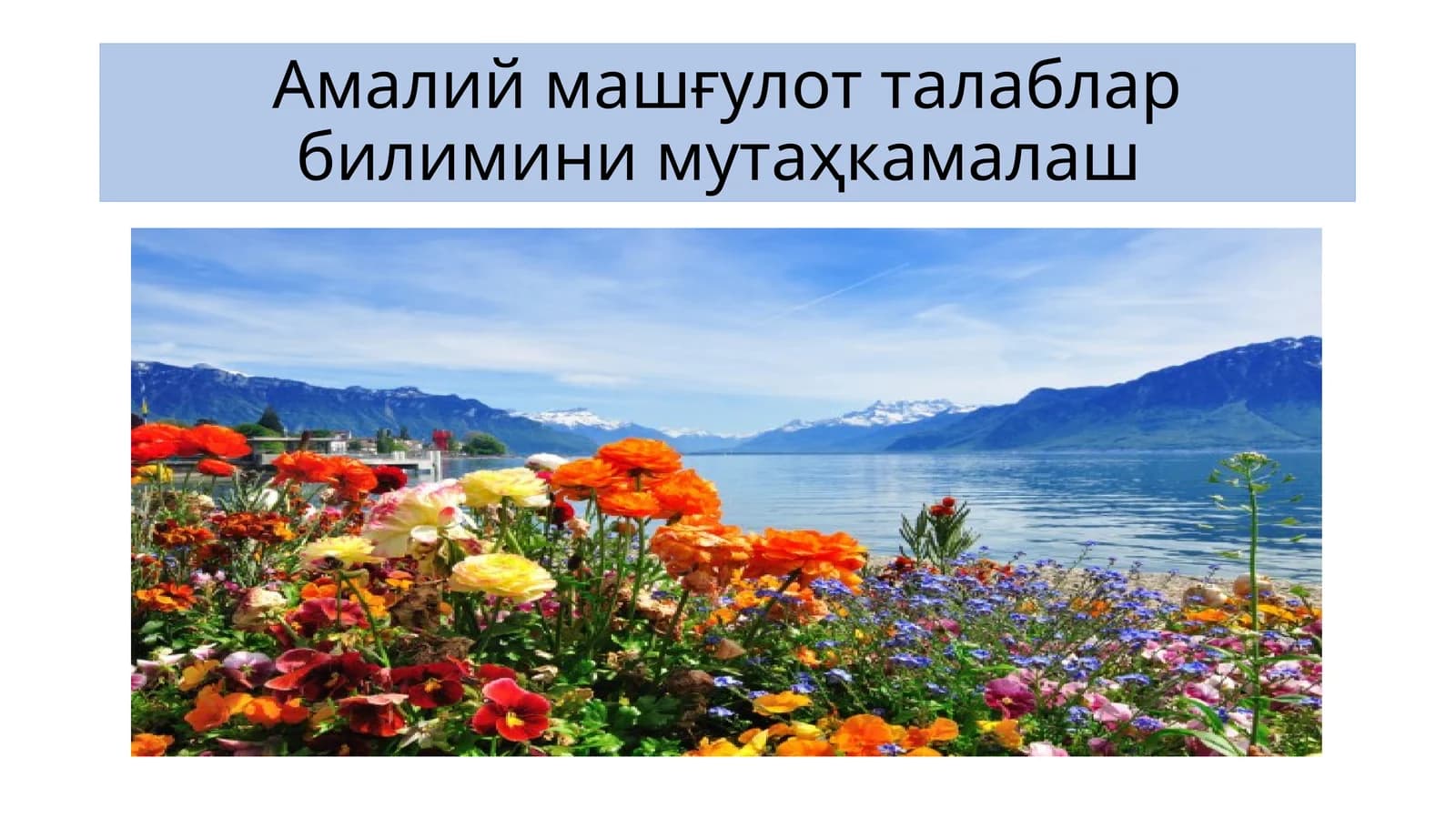 Амалий машғулот талаблар билимини мутаҳкамалаш