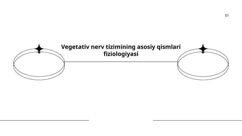 Vegetativ nerv tizimining asosiy qismlari fiziologiyasi