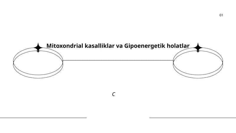 Mitoxondrial kasalliklar va Gipoenergetik holatlar