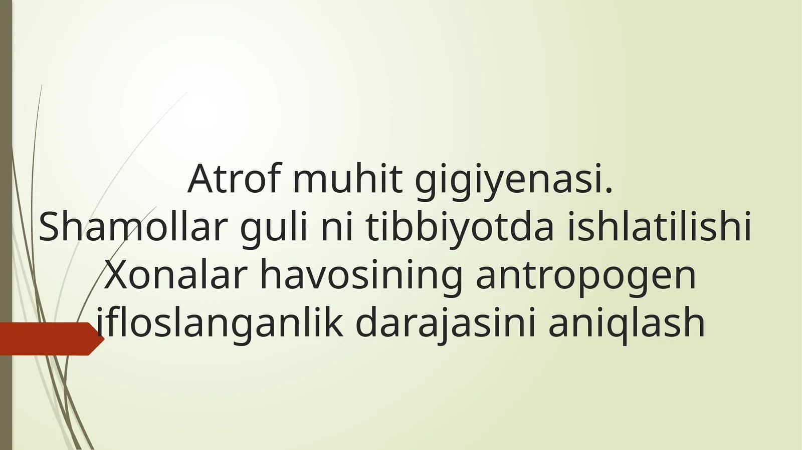 Shamollar Gulinini Tibbiyotda Ishlatilishi
