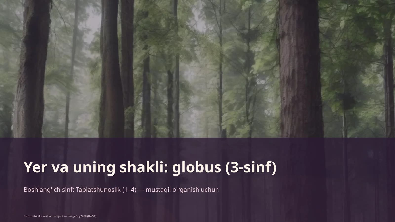 Yer va uning shakli: globus (3-sinf)