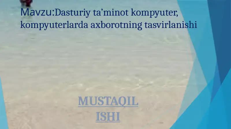 Dasturiy ta’minot kompyuter, kompyuterlarda axborotning tasvirlanishi