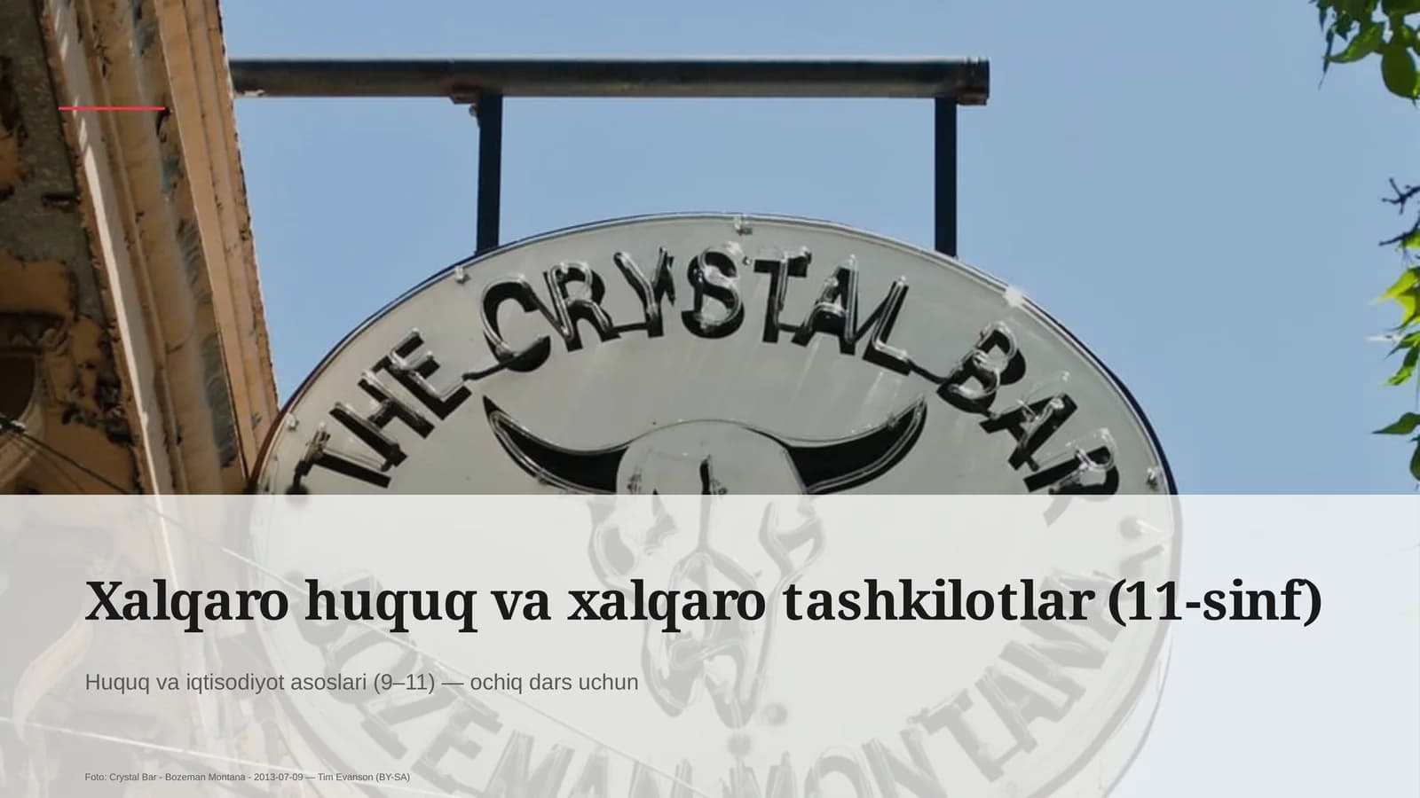 Xalqaro huquq va xalqaro tashkilotlar (11-sinf)
