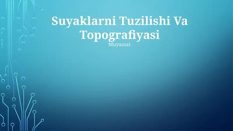 Suyaklarni Tuzilishi Va Topografiyasi