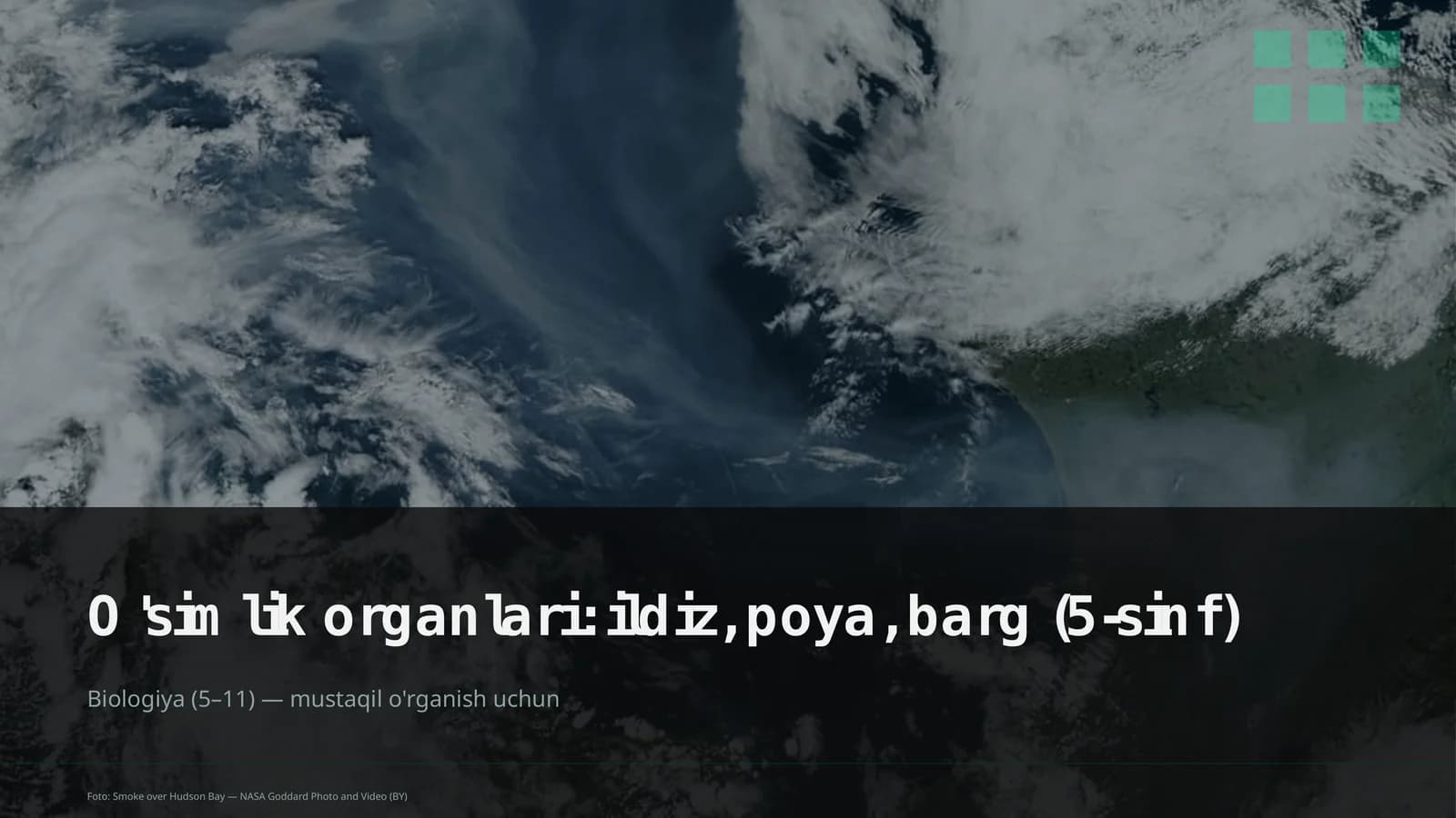 O'simlik organlari: ildiz, poya, barg (5-sinf)