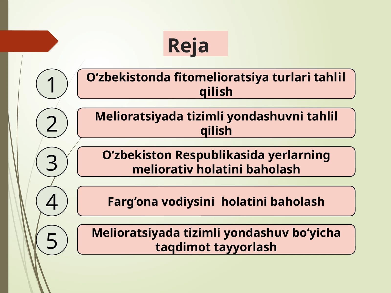 O‘zbekistonda fitomelioratsiya turlari tahlil qilish