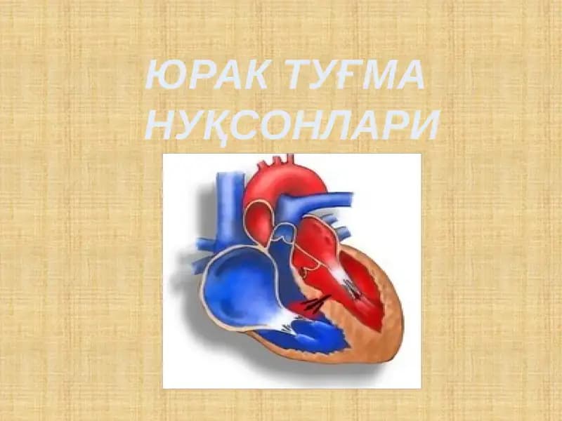 ЮРАК ТУҒМА  НУҚСОНЛАРИ