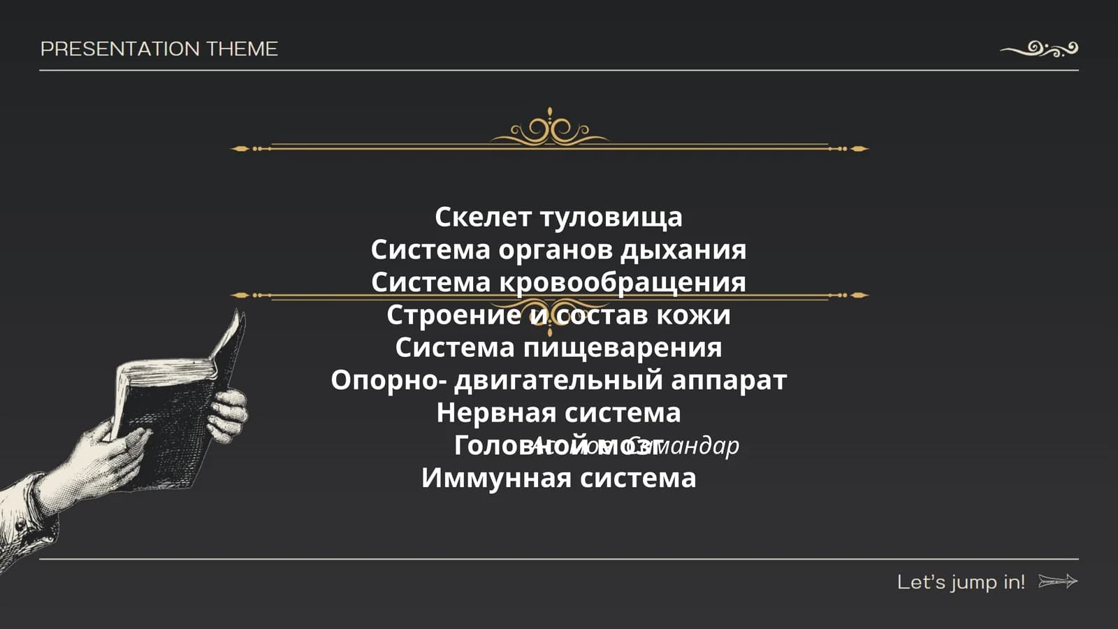 Скелет туловища