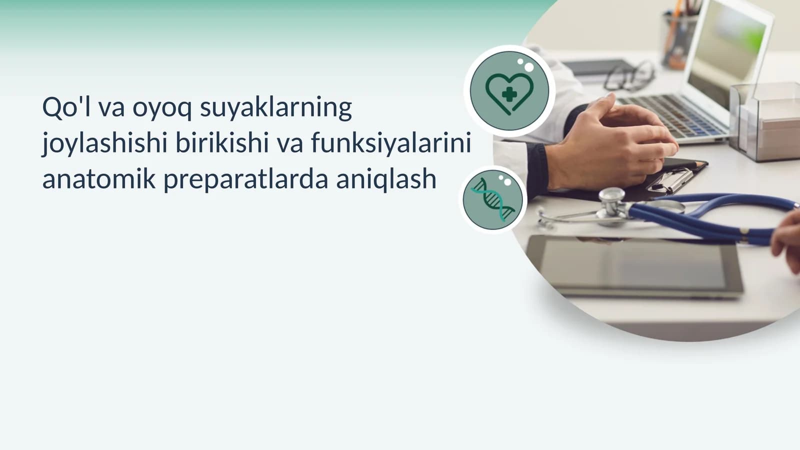 Qo‘l va Oyoq Suyaklari