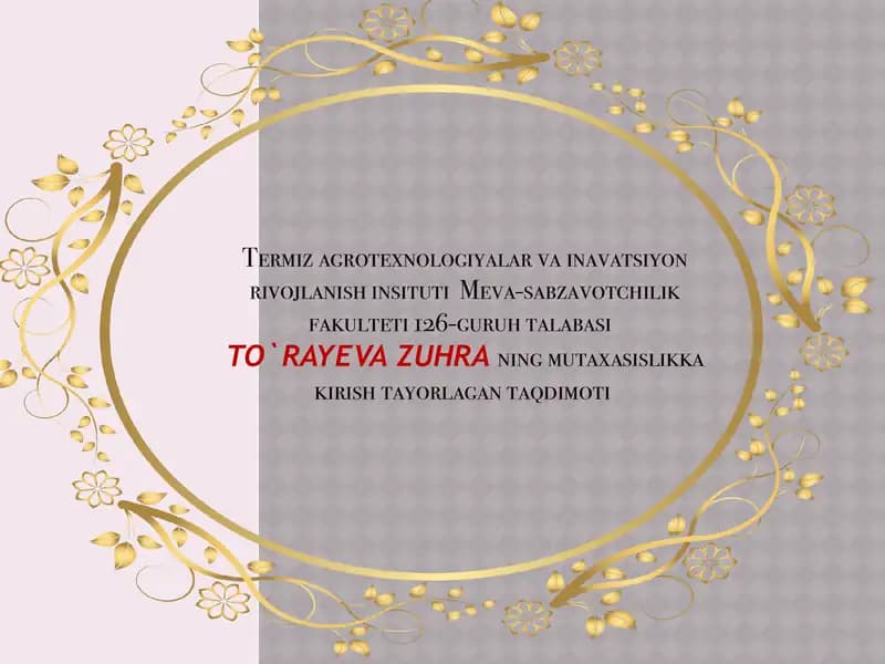 TO`RAYEVA ZUHRA ning mutaxasislikkakirishtayorlagan taqdimoti