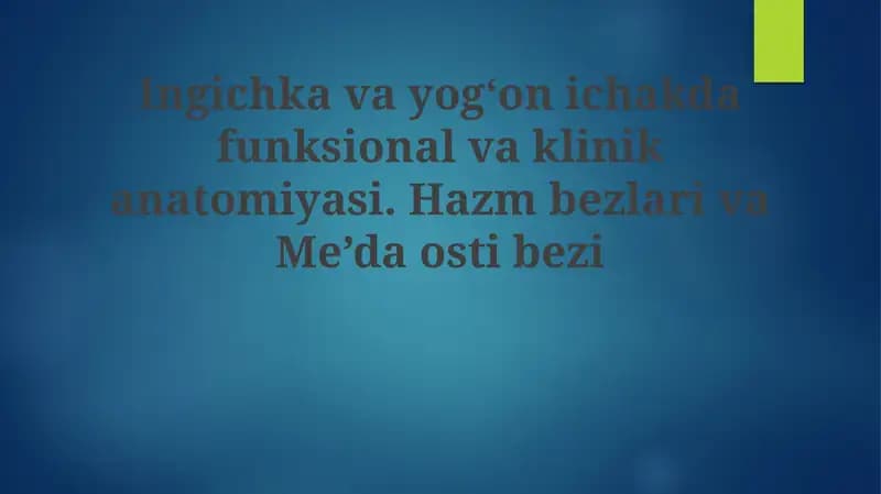 Ingichkavayogʻonichakdafunksionalvaklinikanatomiyasi
