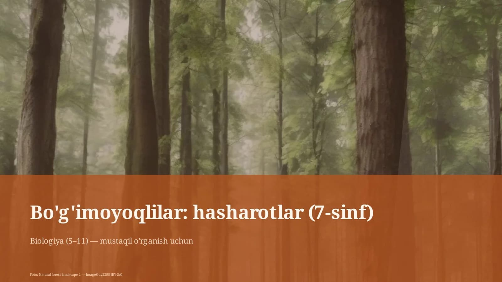 Bo'g'imoyoqlilar: hasharotlar (7-sinf)