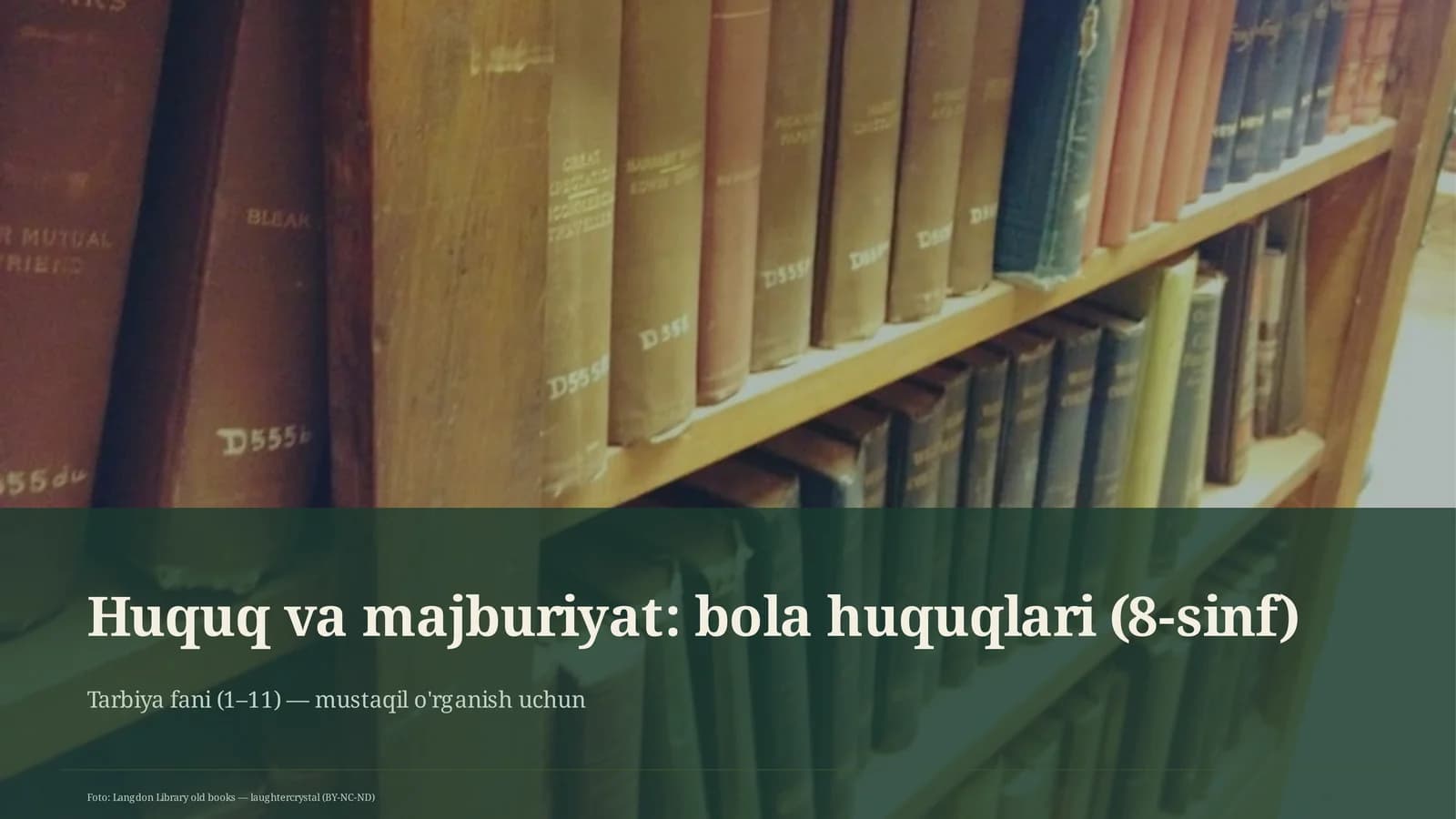 Huquq va majburiyat: bola huquqlari (8-sinf)