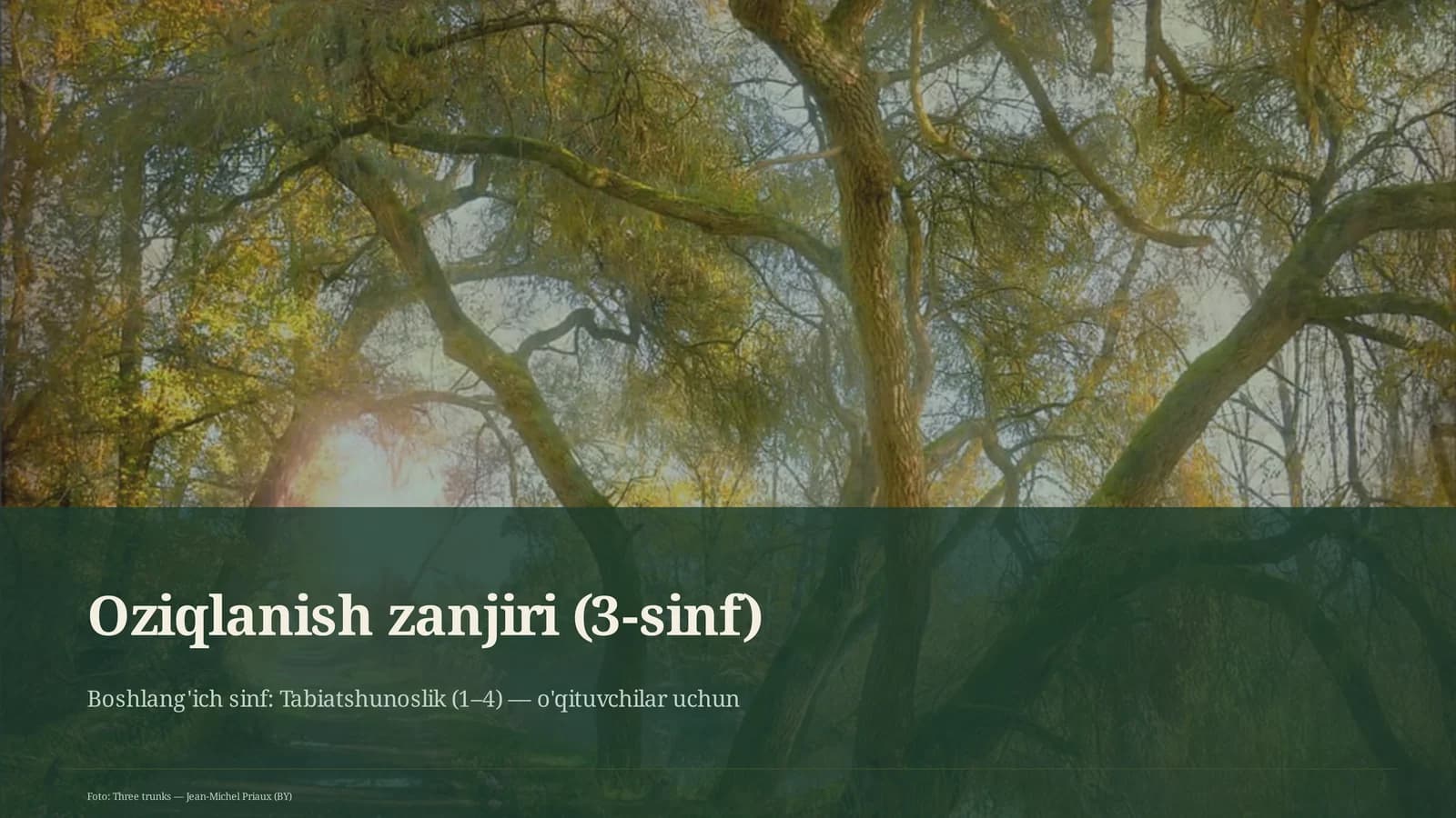 Oziqlanish zanjiri (3-sinf)