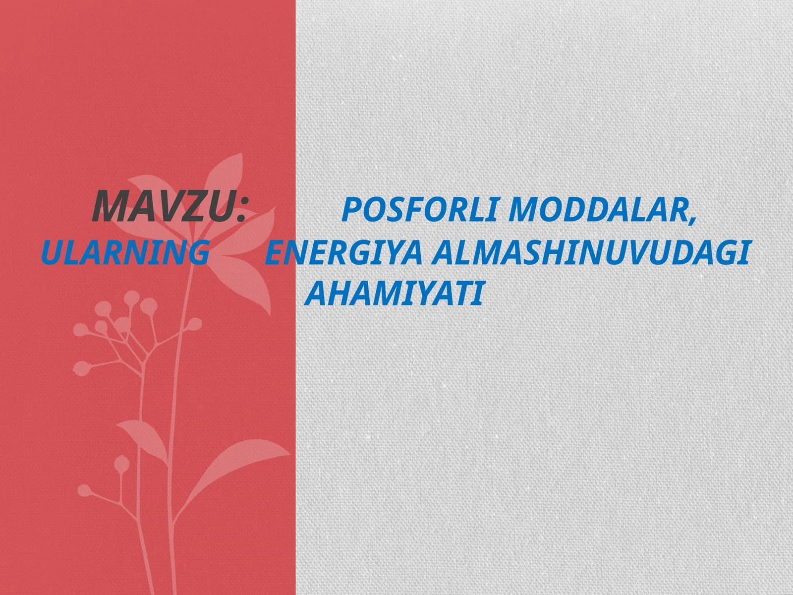 Fosforlimoddalar