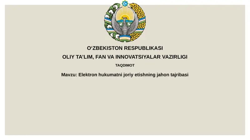 E-hukumat