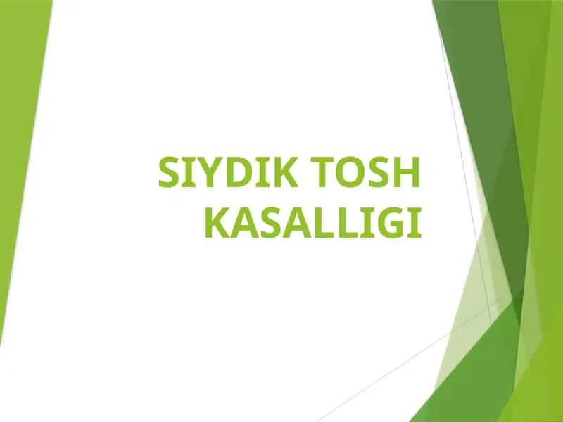 SIYDIK TOSH KASALLIGI