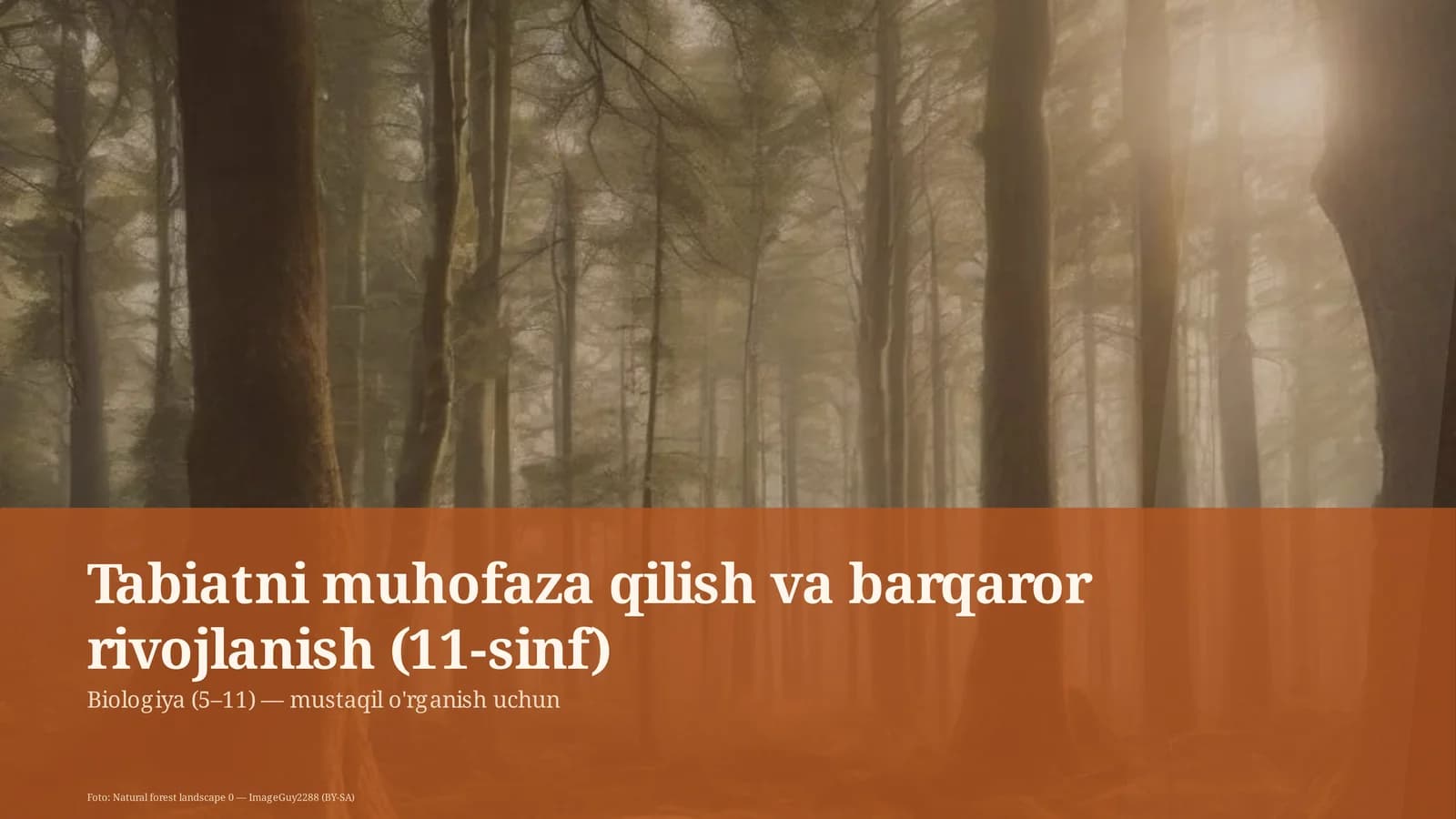Tabiatni muhofaza qilish va barqaror rivojlanish (11-sinf)