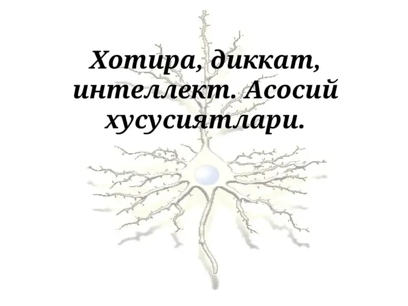 Хотира, диккат, интеллект. Асосий хусусиятлари.