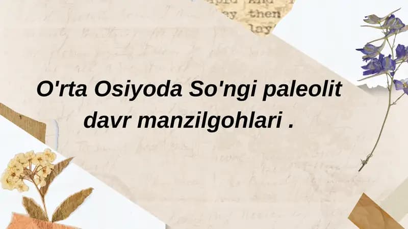 So'nggi paleolit davri