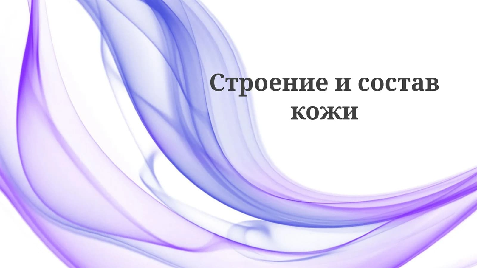 Строение и состав кожи
