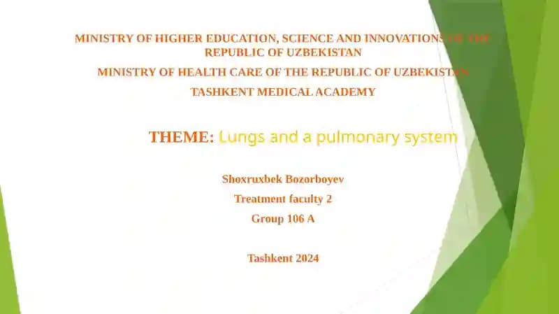Lungs and a pulmonary system