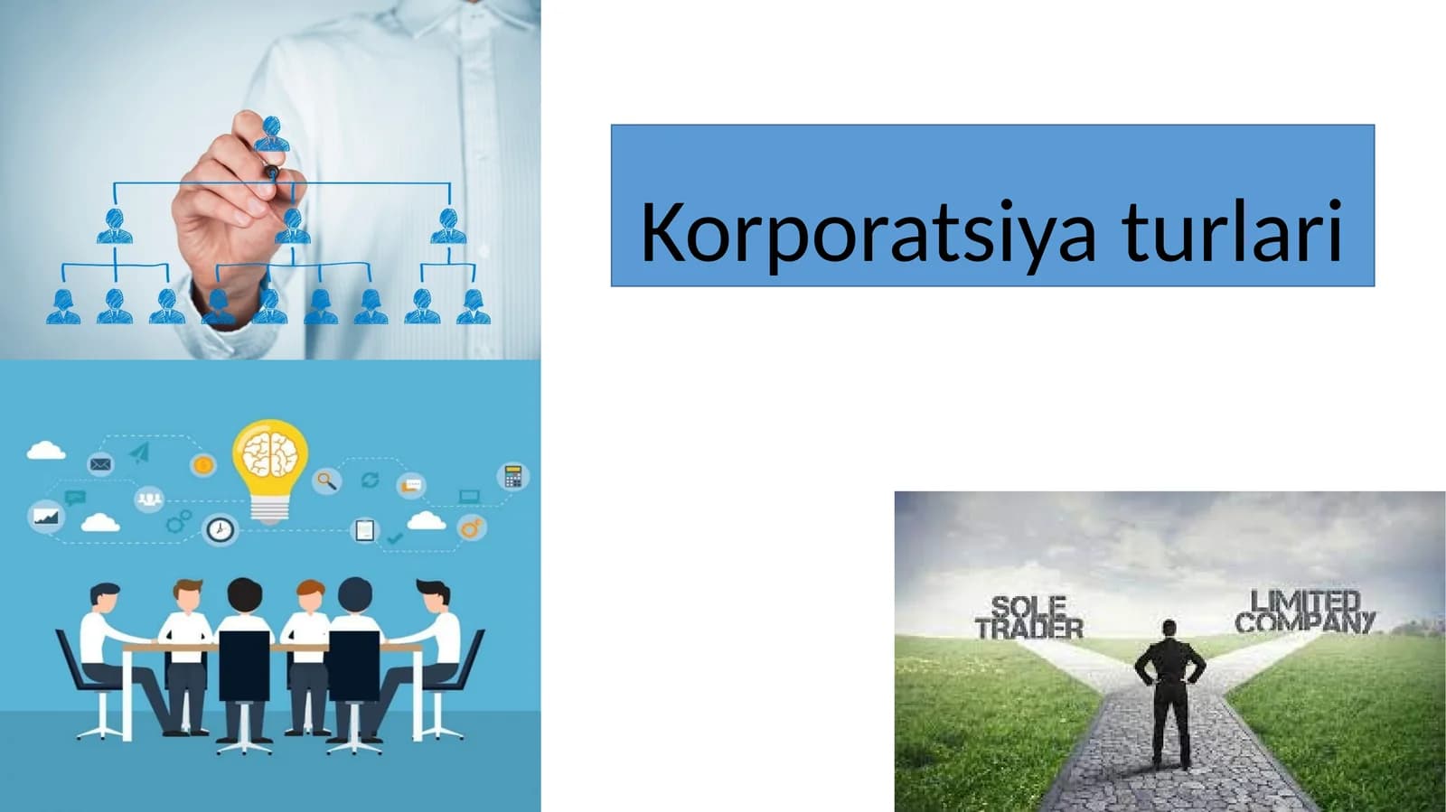 Korporatsiya turlari