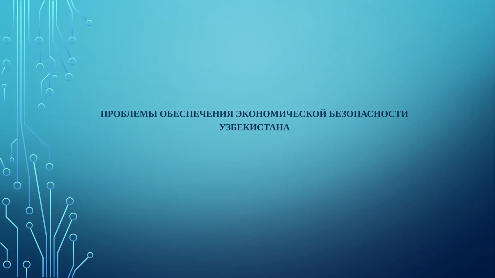 Проблемы обеспечения экономической безопасности Узбекистана