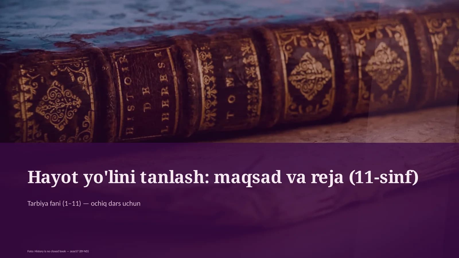 Hayot yo'lini tanlash: maqsad va reja (11-sinf)