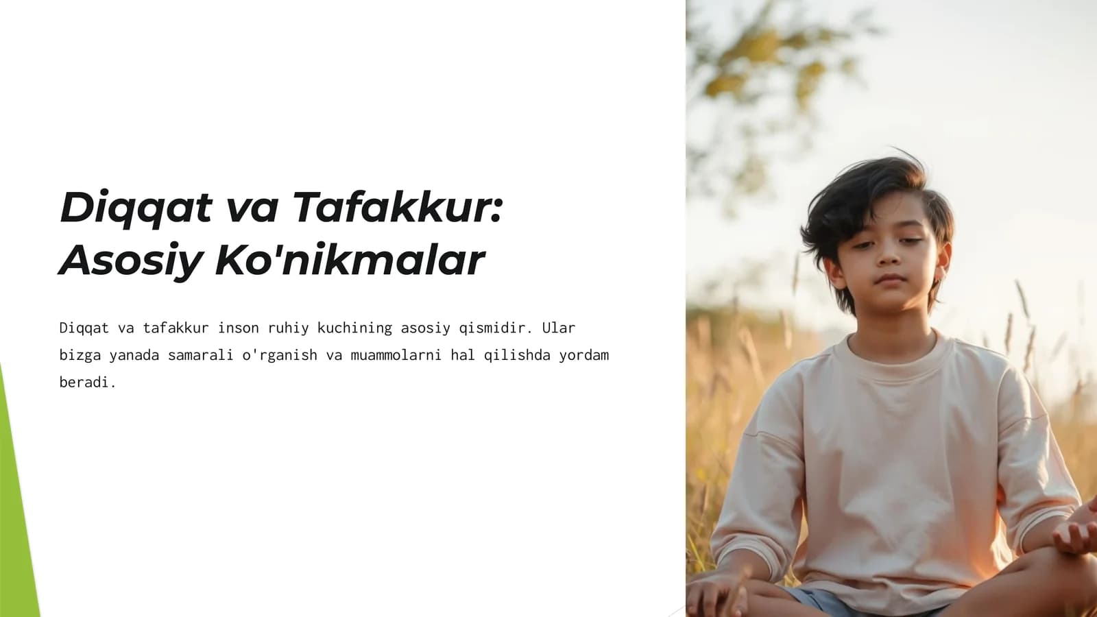 Diqqat va Tafakkur Asosiy Ko'nikmalar