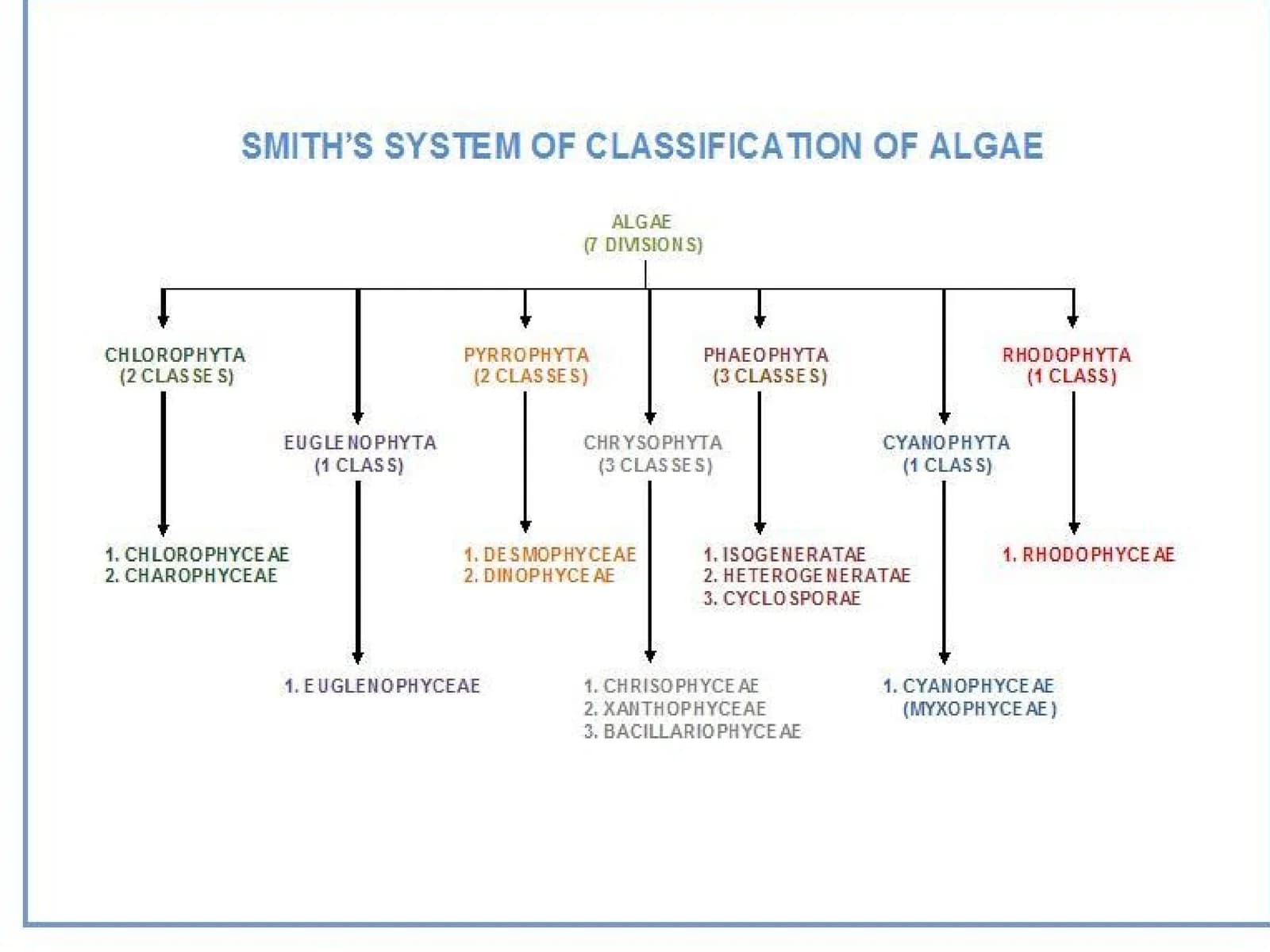 Blue-green algae as bio-indicators