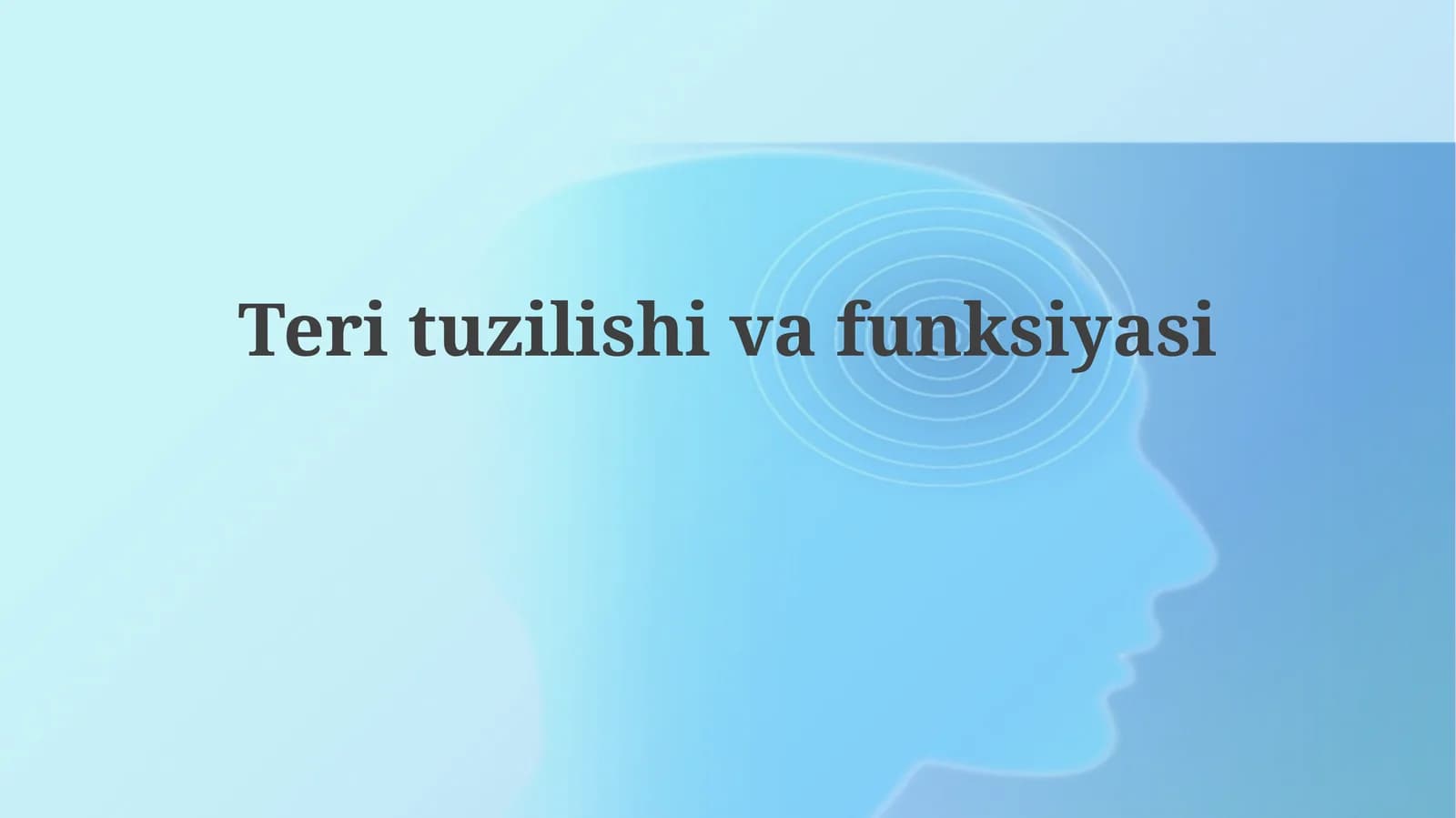 Terituzilishivafunksiyasi
