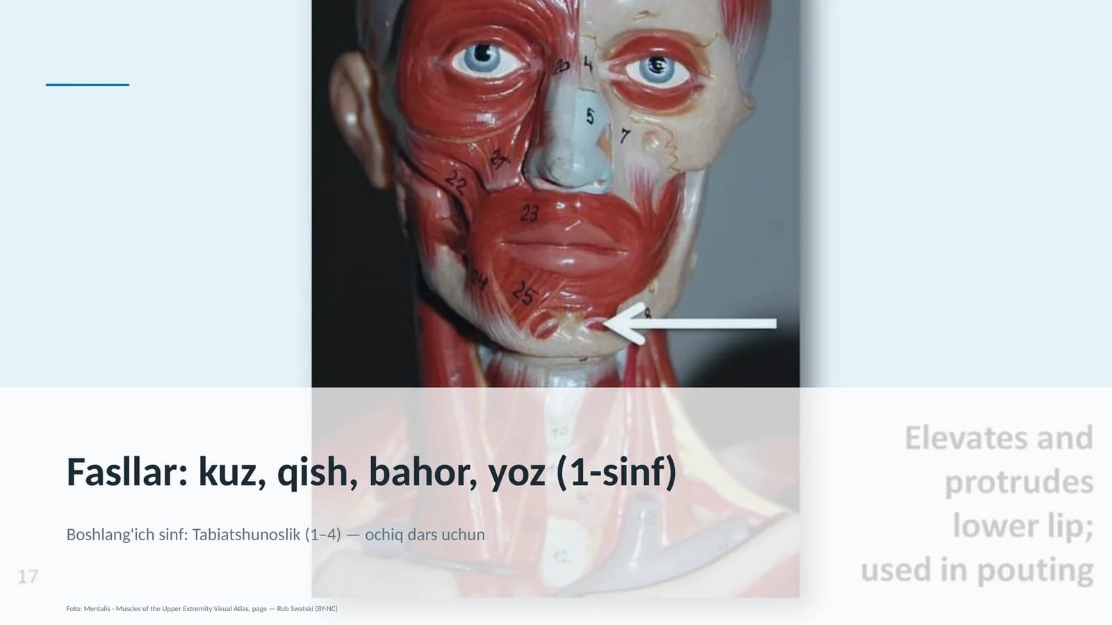 Tabiatshunoslik (1– 4) — ochiq dars uchun