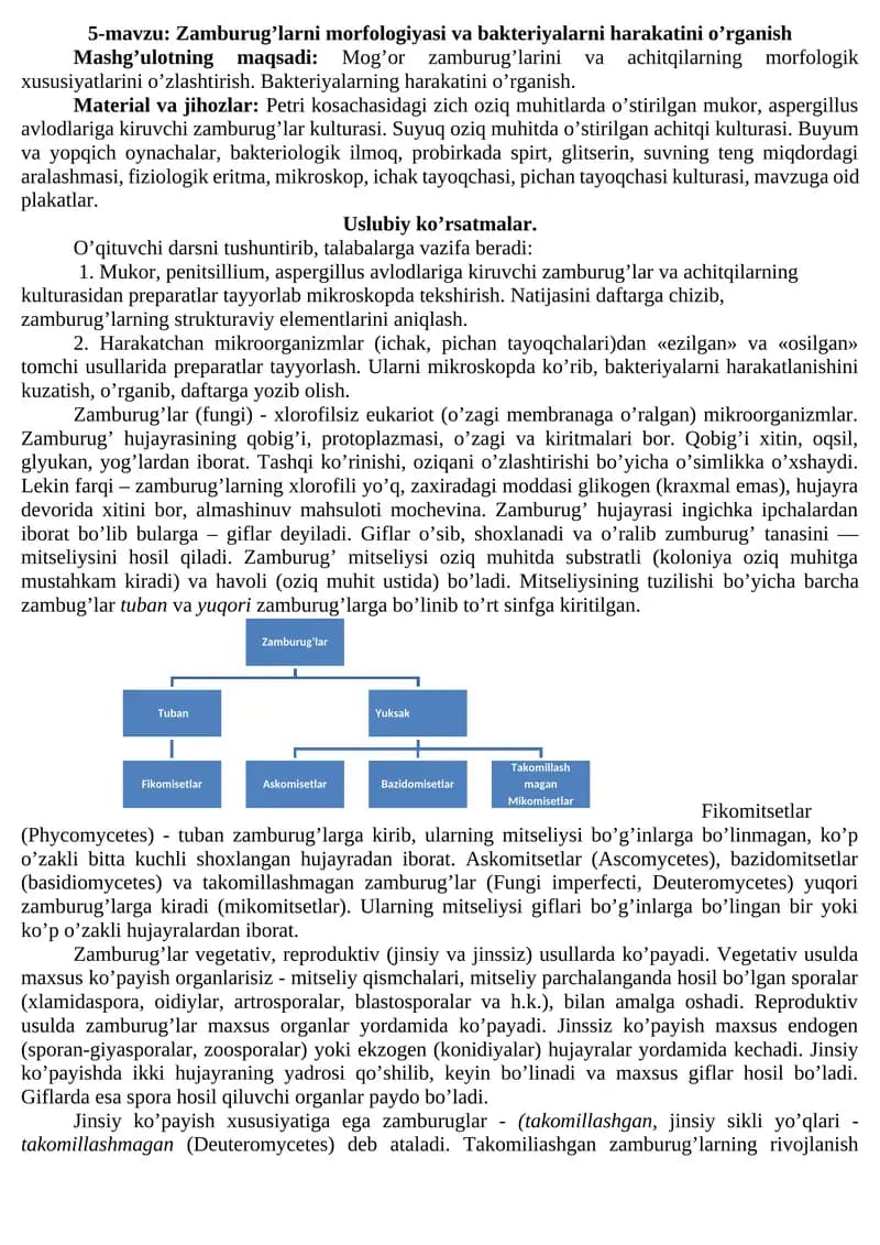 Zamburug’larni morfologiyasi va bakteriyalarni harakatini o’rganish