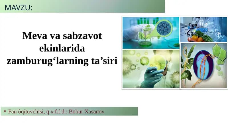 Meva va sabzavot ekinlarida zamburugʻlarning ta’siri