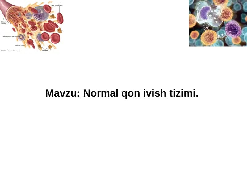 Normal qon ivish tizimi