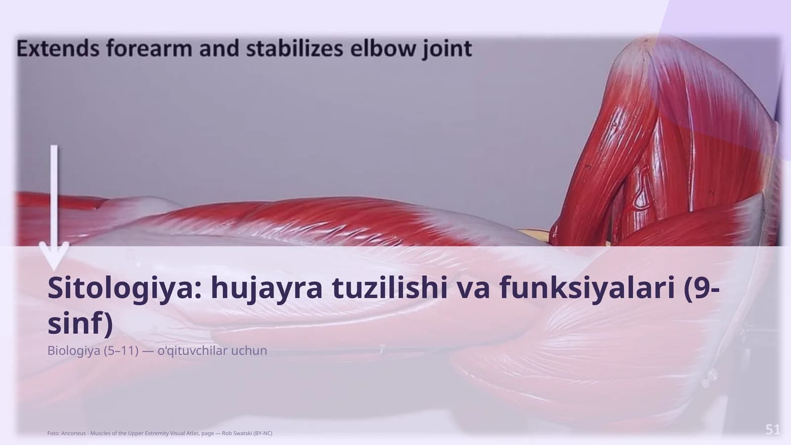 Sitologiya: hujayra tuzilishi va funksiyalari (9-sinf)