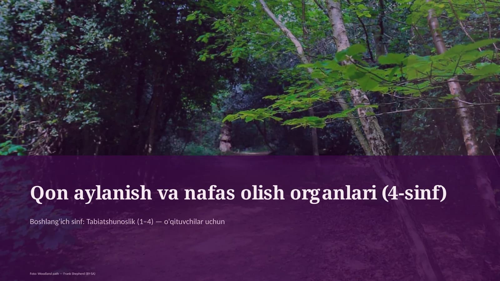 Qon aylanish va nafas olish organlari (4-sinf)