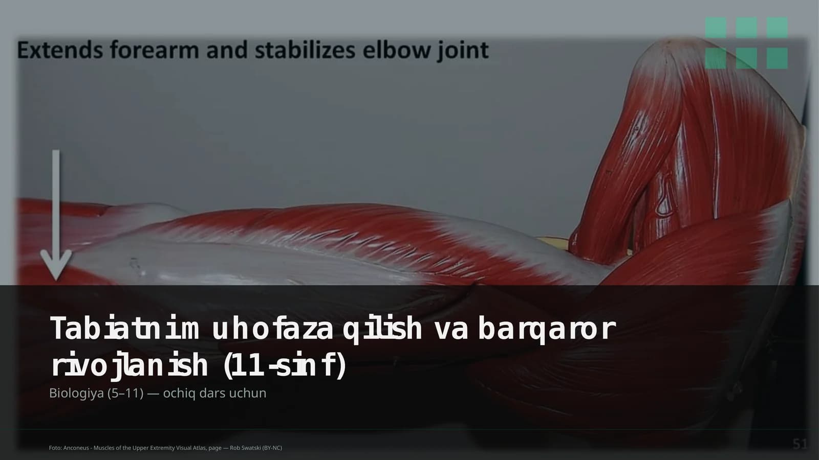Tabiatni muhofaza qilish va barqaror rivojlanish (11-sinf)