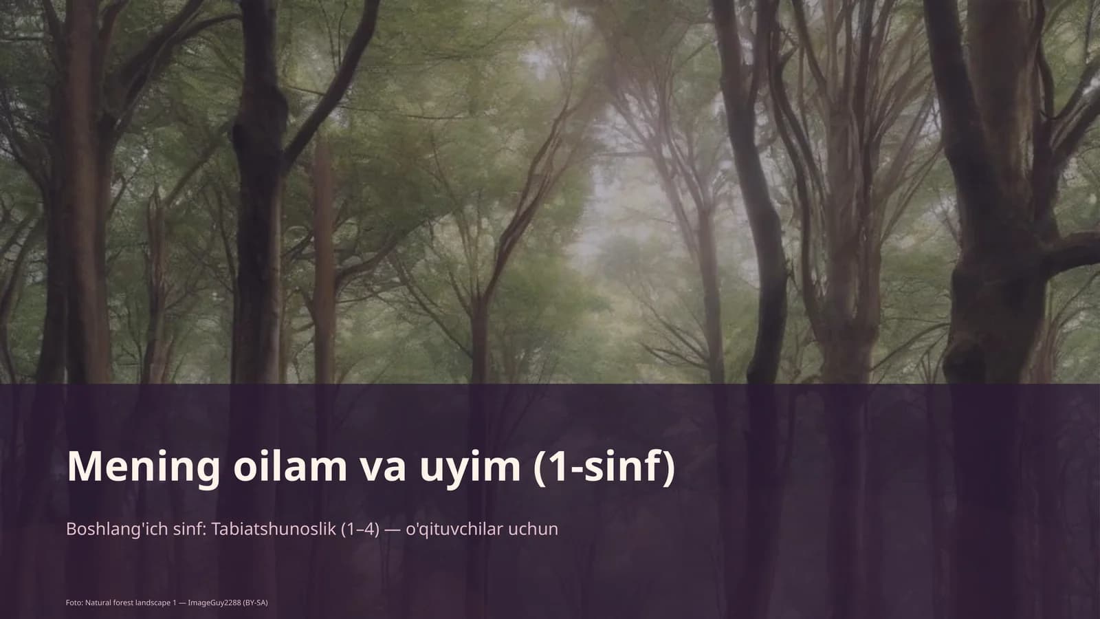 Mening oilam va uyim (1-sinf)