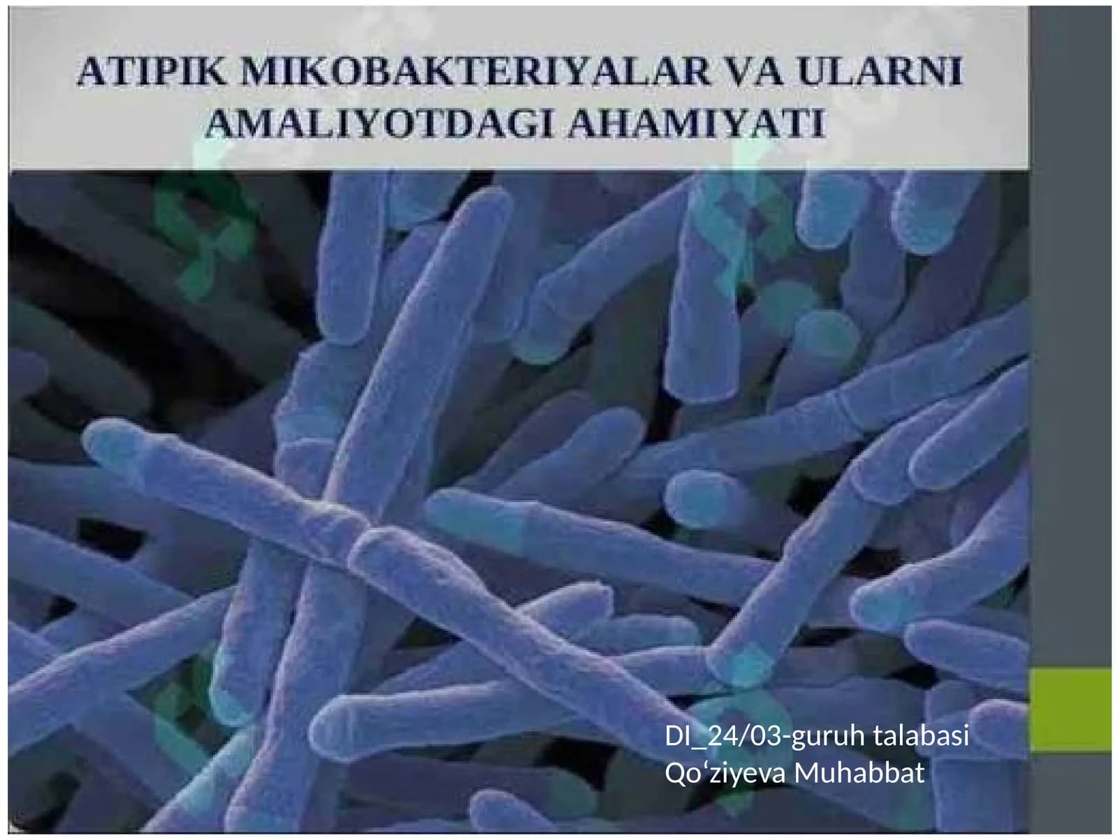 DI_24/03-guruhtalabasi