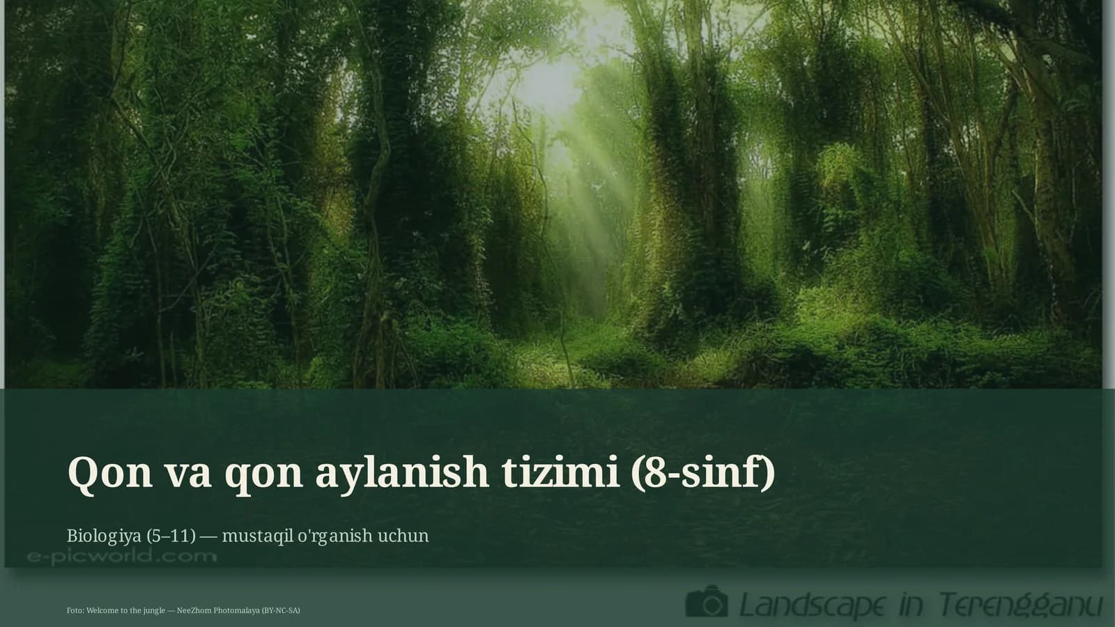 Qon va qon aylanish tizimi (8-sinf)
