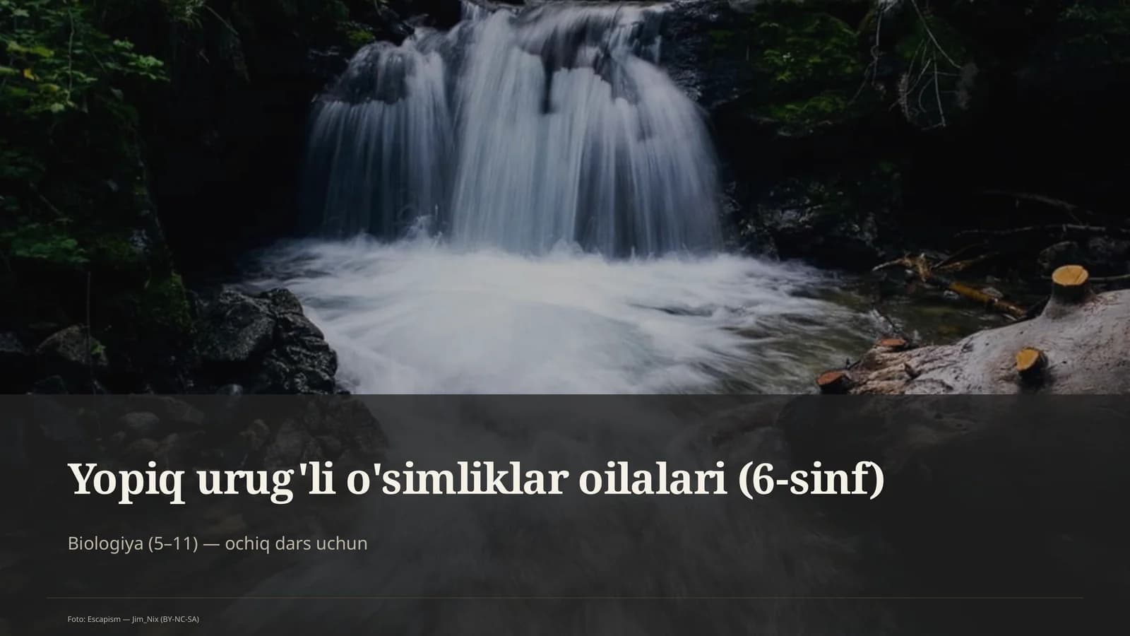 Yopiq urug'li o'simliklar oilalari (6-sinf)
