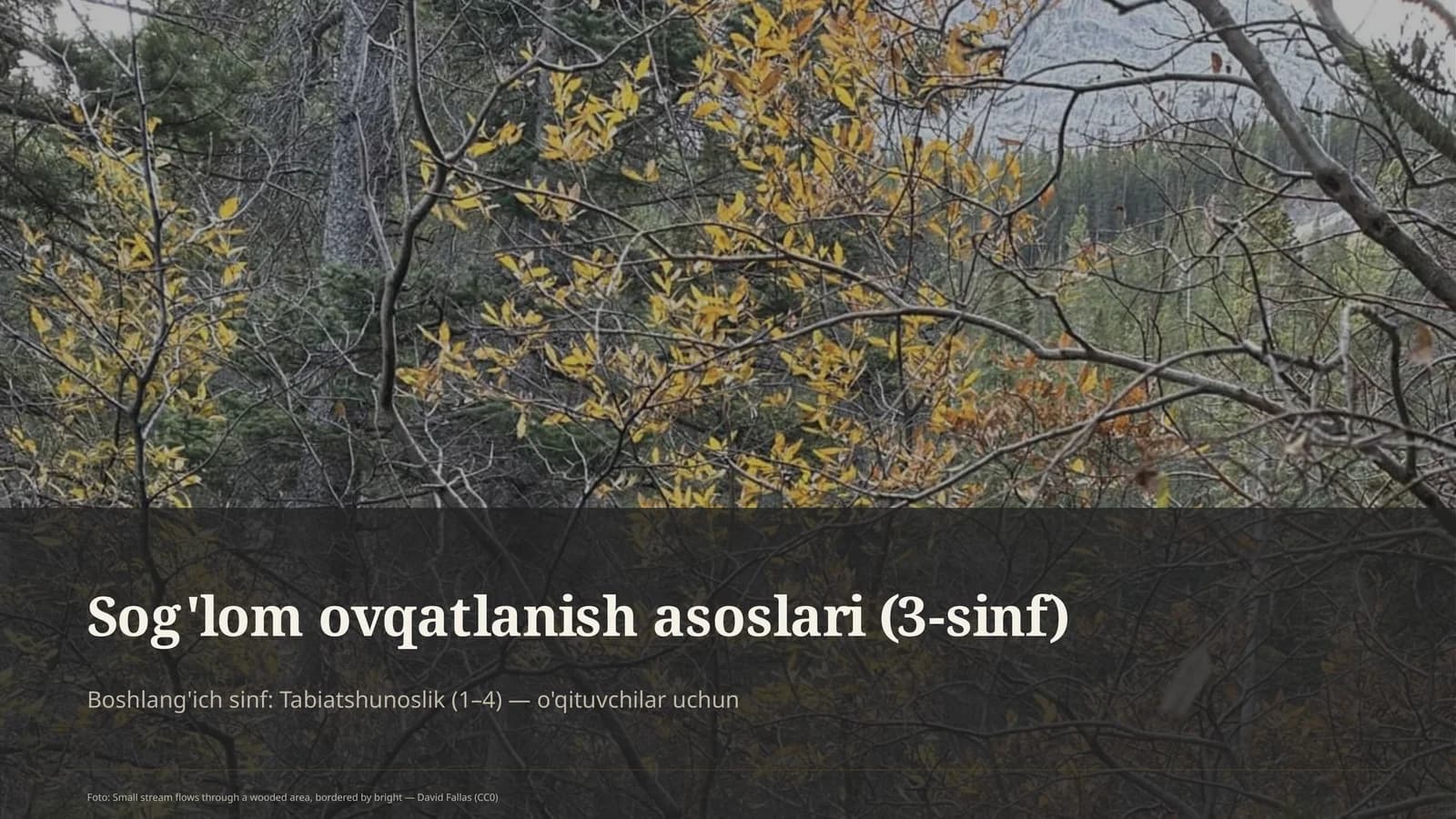 Sog'lom ovqatlanish asoslari (3-sinf)
