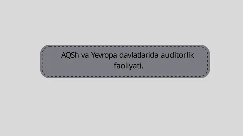 Auditorlik faoliyati