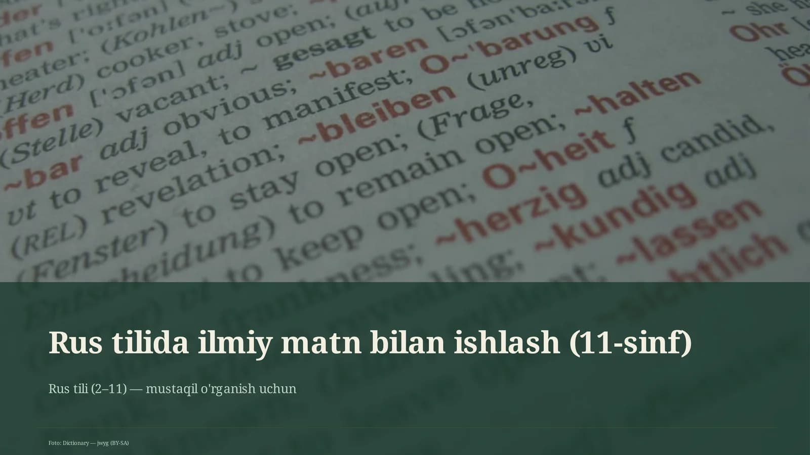 Rus tilida ilmiy matn bilan ishlash (11-sinf)