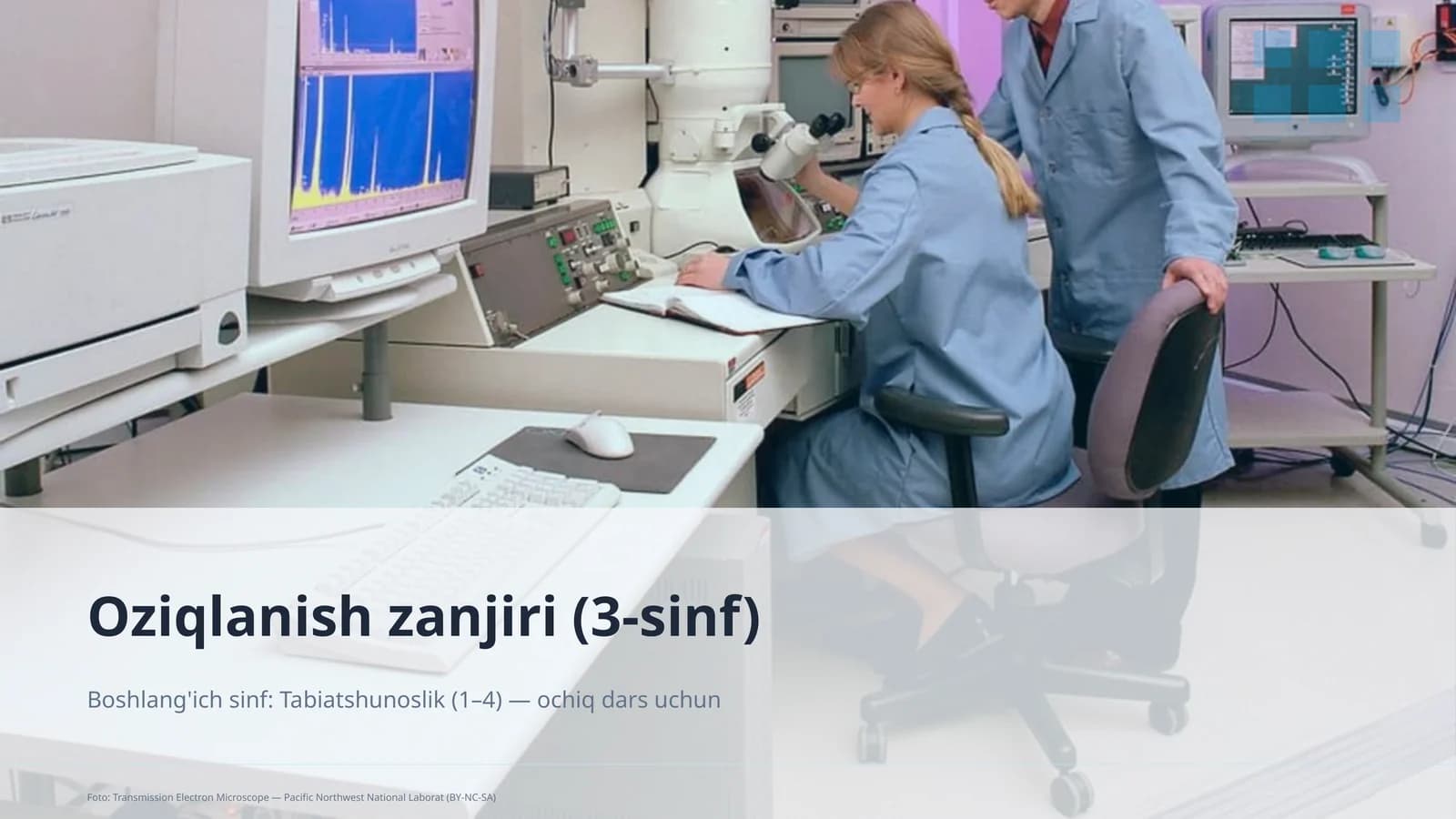 Oziqlanish zanjiri (3-sinf)