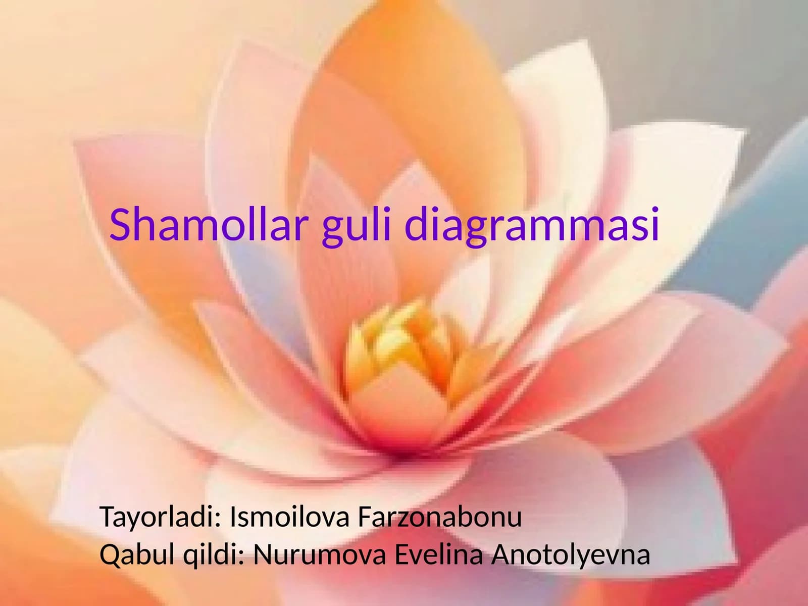 Shamollar guli diagrammasi