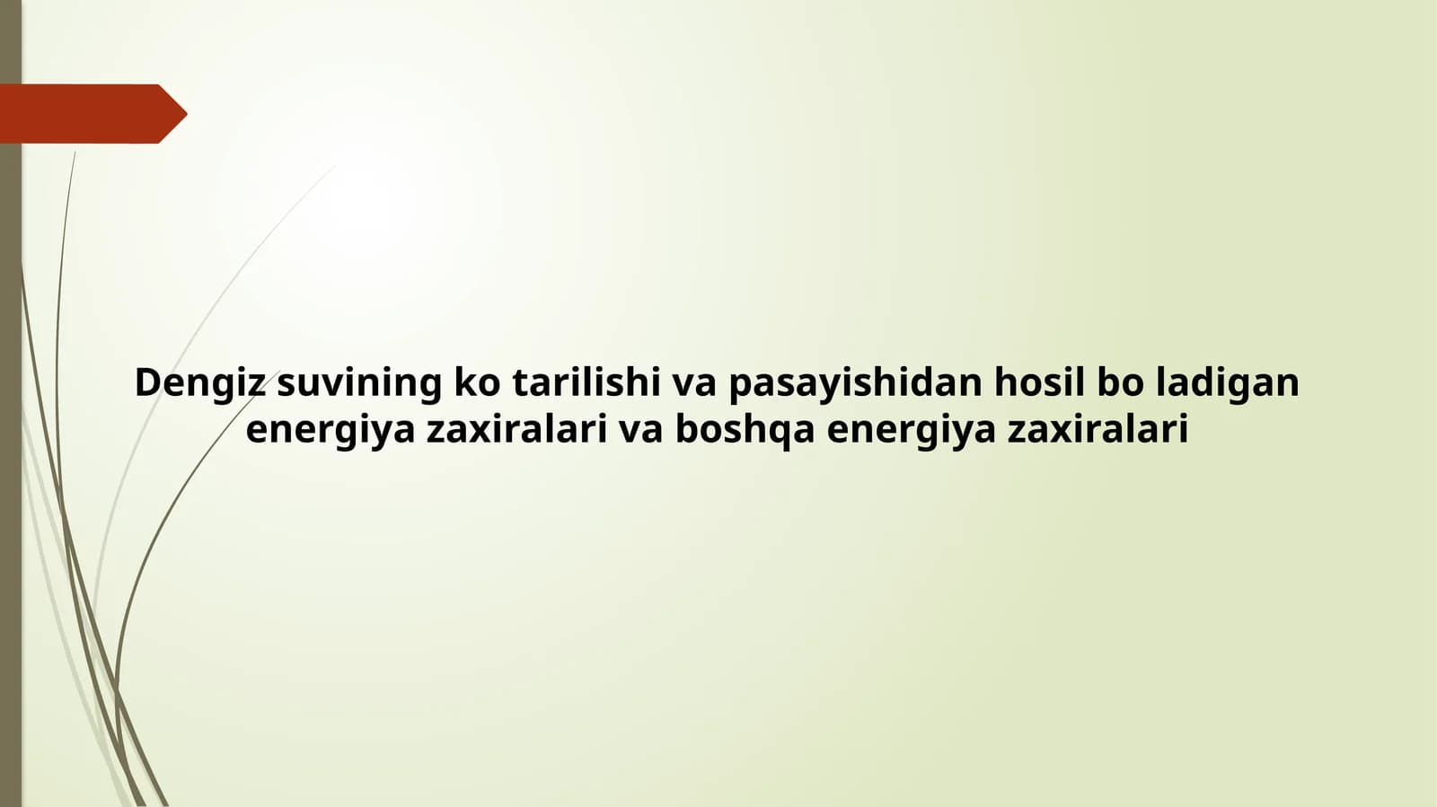 Dengiz suvining ko'tarilishi va pasayishidan hosil bo'ladigan energiya zaxiralari va boshqa energiya zaxiralari