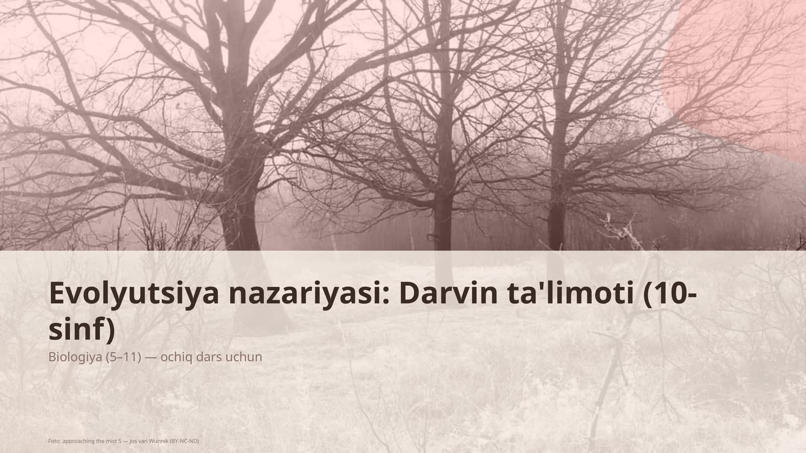 Evolyutsiya nazariyasi: Darvin ta'limoti (10-sinf)